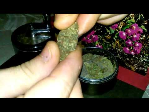 Purple Dream [Medical Marijuana 