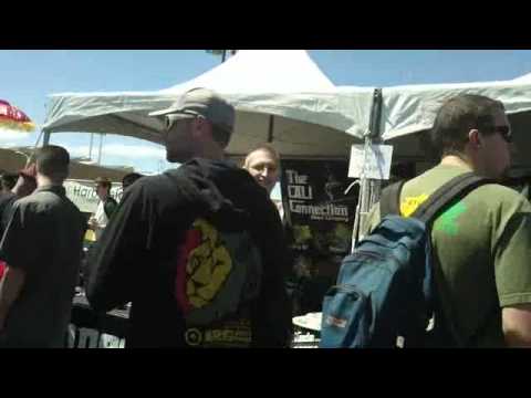 Day One at HIGH TIMES Medical Cannabis Cup - Bay Area 2012