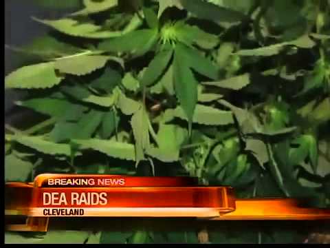 6am: NE Ohio drug busts by DEA