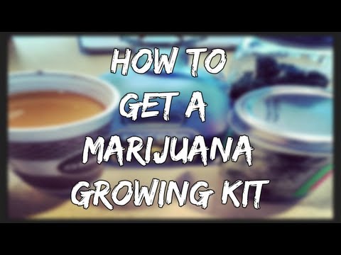 How To Get a Marijuana Growing Kit