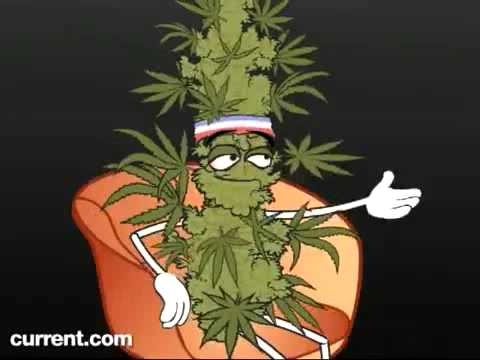 Watch Marijuana VS. Crystal Meth - Funny but true video.avi [Marijuana VS. Crystal Meth]