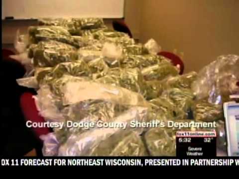 Record marijuana bust in Dodge Co.
