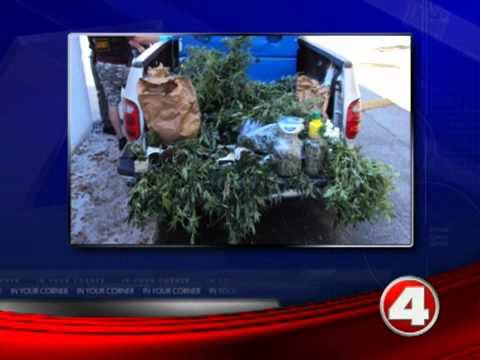 Major marijuana grow house busted in Lee County