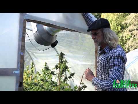 Small Green House Tour with Jorge Cervantes