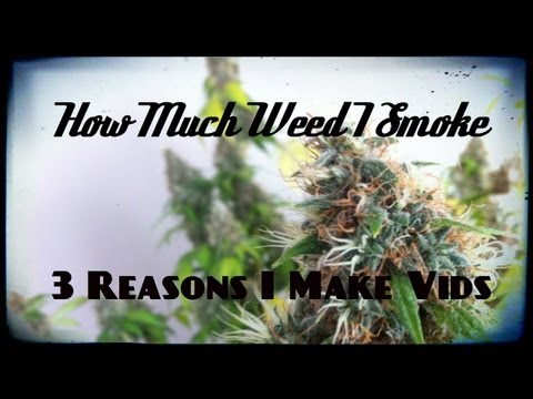 Trimming Bud - How Much Weed I Smoke and Why I Make Home Grow Vids