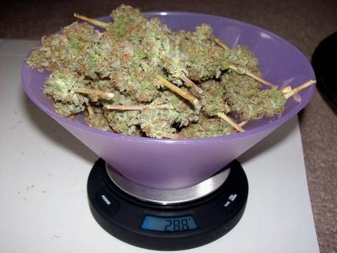 Calculating Your Medical Cannabis Harvest (Grams Per Watt)