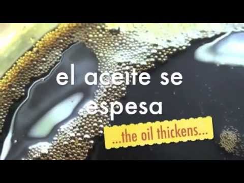 Como hacer aceite de cáñamo